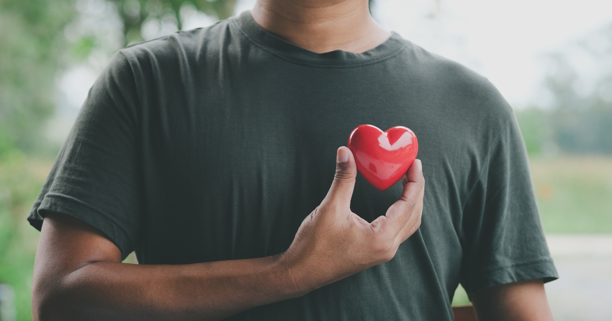 Person holding a red heart model over their chest, referencing the connection between insomnia and heart health | Sip2Sleep®