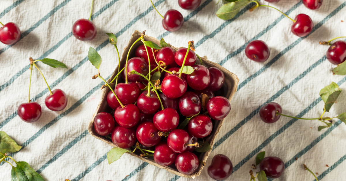 Fresh tart cherries on a cloth surface, known for supporting sleep naturally | Sip2Sleep®